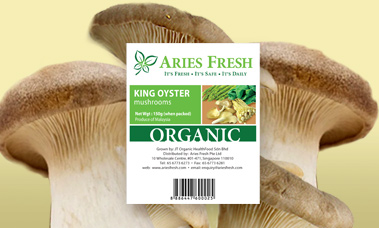 Identity Design, Ease Communications