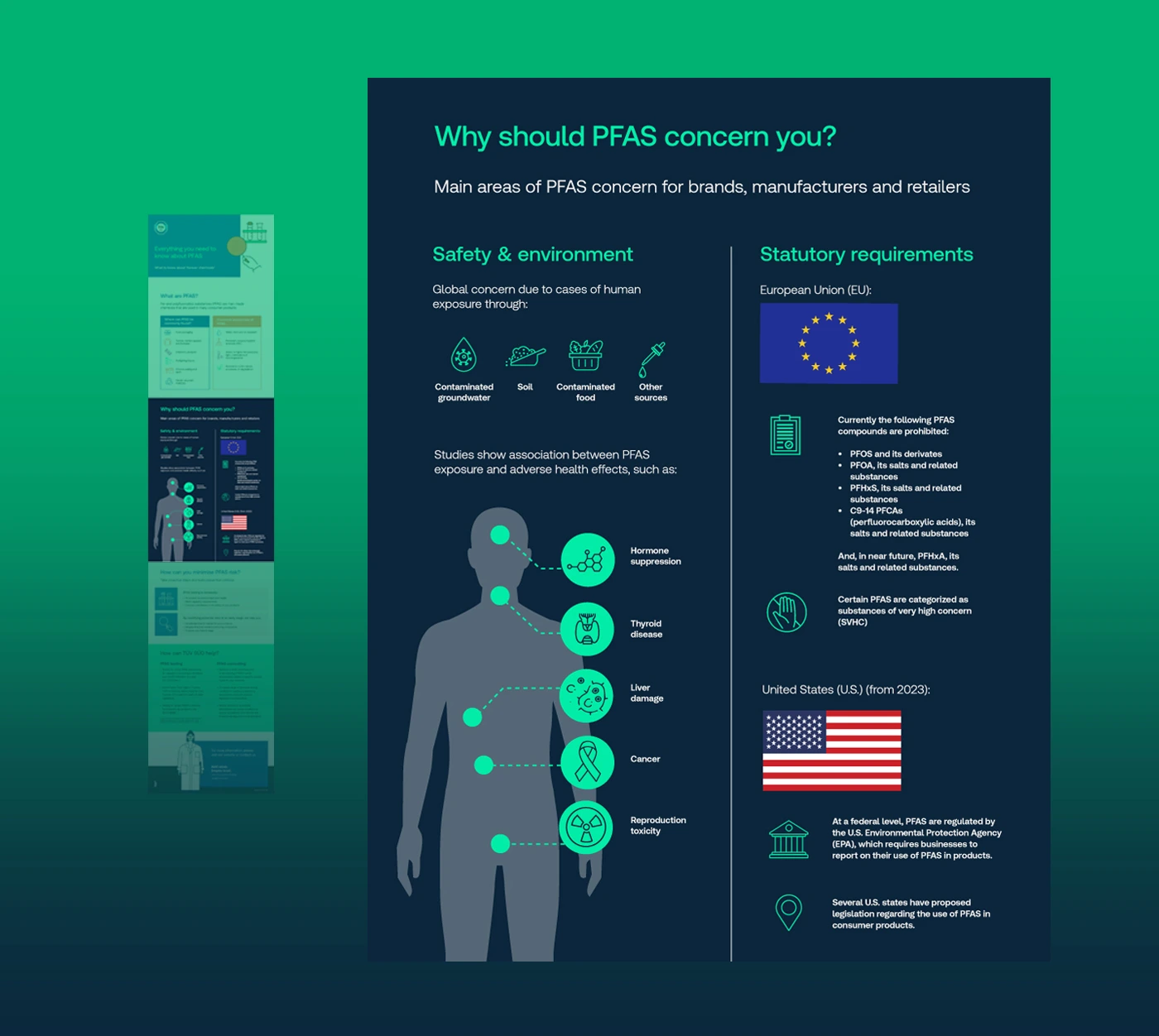 infographic poster, Ease Communications